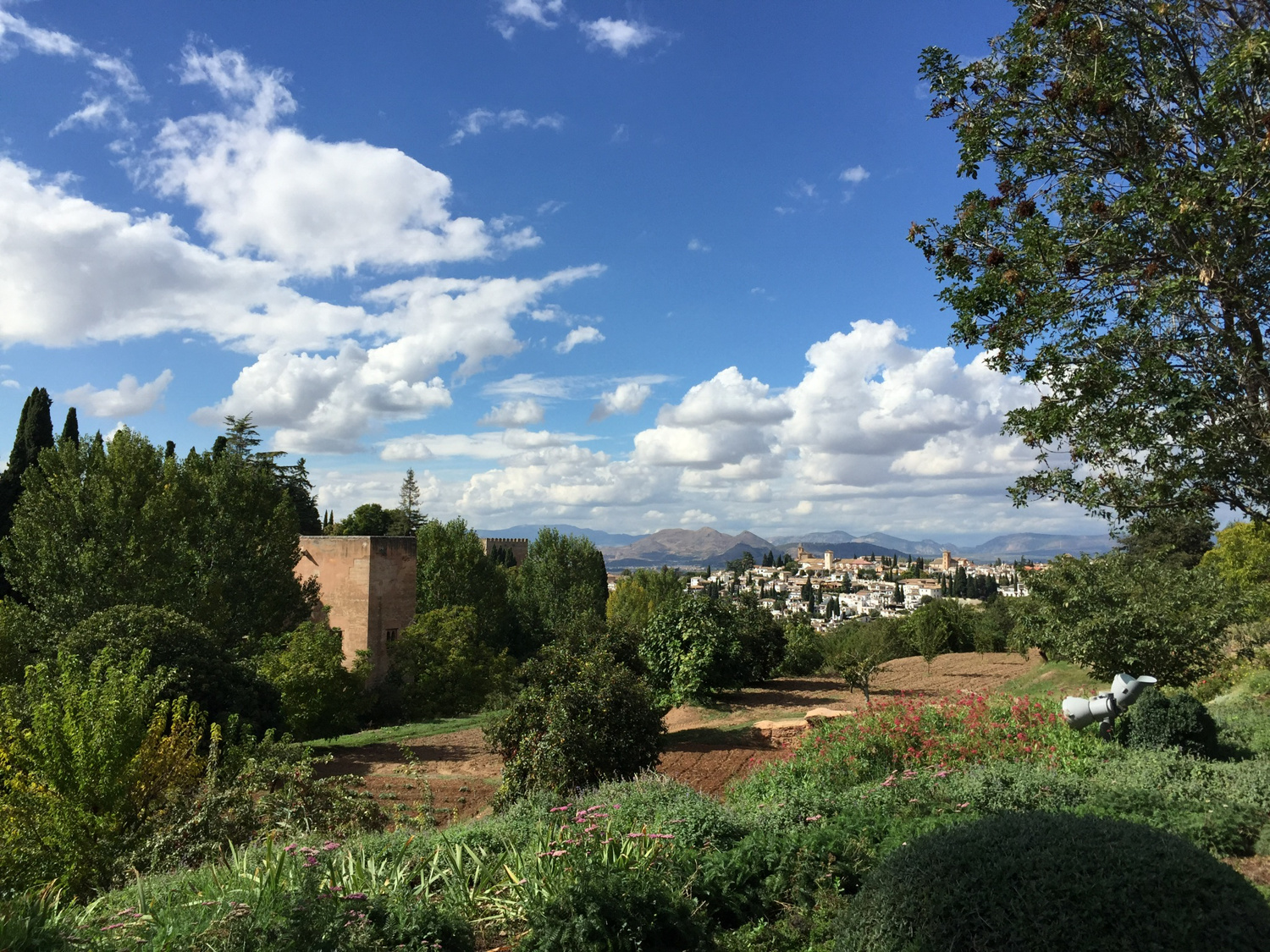 Visitas guiadas Granada Alhambra Andalucía servicios culturales catedral Albaycín Albaicín Reyes Católicos