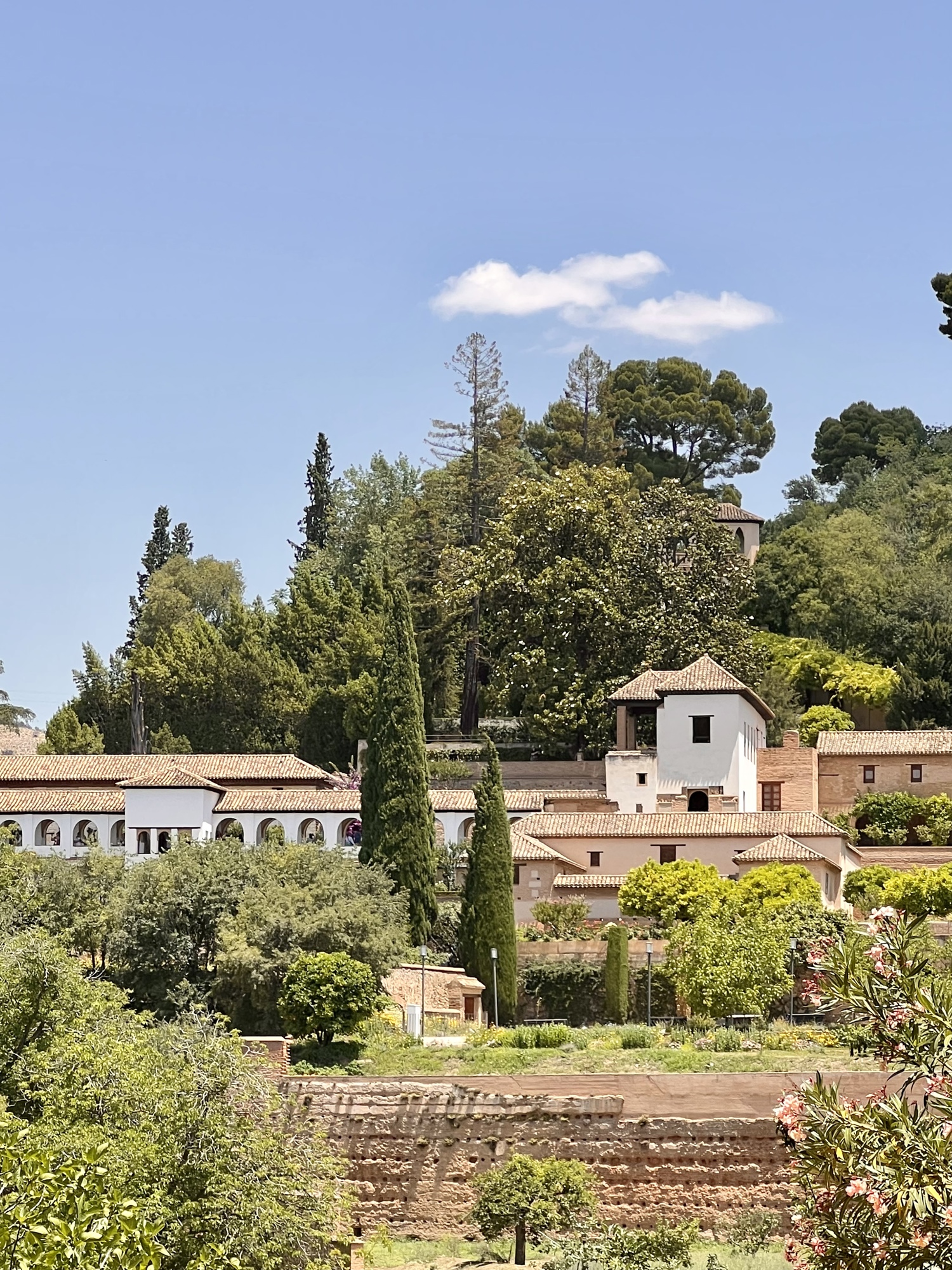 Visitas guiadas Granada Alhambra Andalucía servicios culturales catedral Albaycín Albaicín Reyes Católicos
