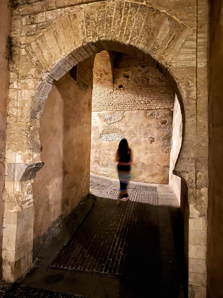 Visitas guiadas Granada Alhambra Andalucía servicios culturales catedral Albaycín Albaicín Reyes Católicos