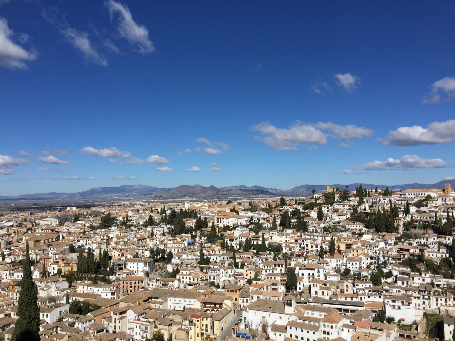 Visitas guiadas Granada Alhambra Andalucía servicios culturales catedral Albaycín Albaicín Reyes Católicos